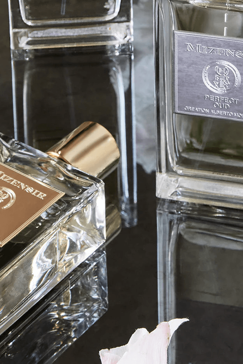 Rémi DURIEZ - Projet Mizensir